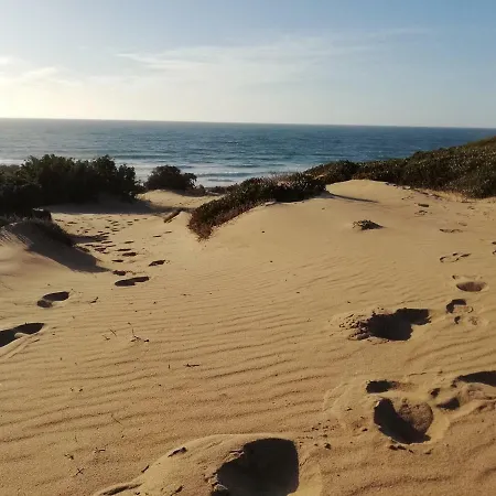 S'apposentu アルブス